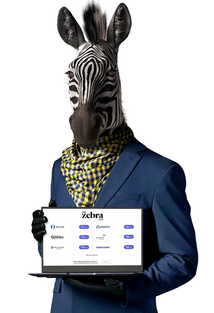 Introduction to Zebra Motor Insurance